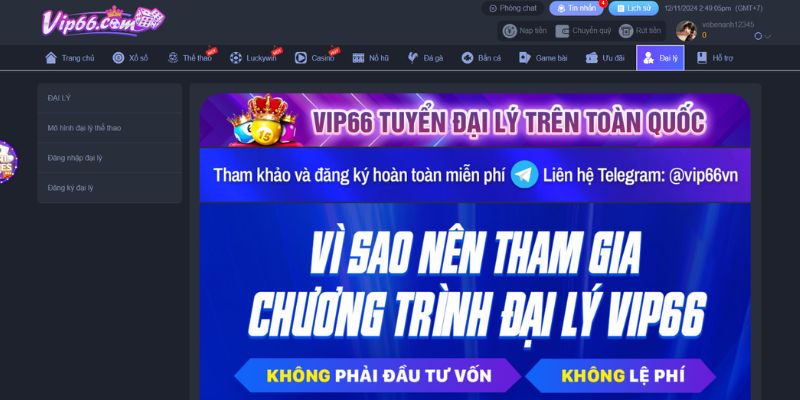 Tự do phát triển và kinh doanh